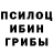 Галлюциногенные грибы Magic Shrooms Grundy