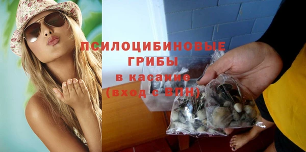 трава Ачинск